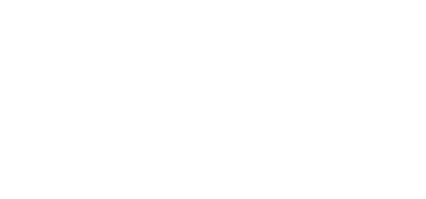 img_calcadao-do-frango